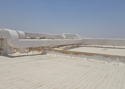 صورة واتساب بتاريخ 1446-12-21 في 13.16.16_cdf44fae